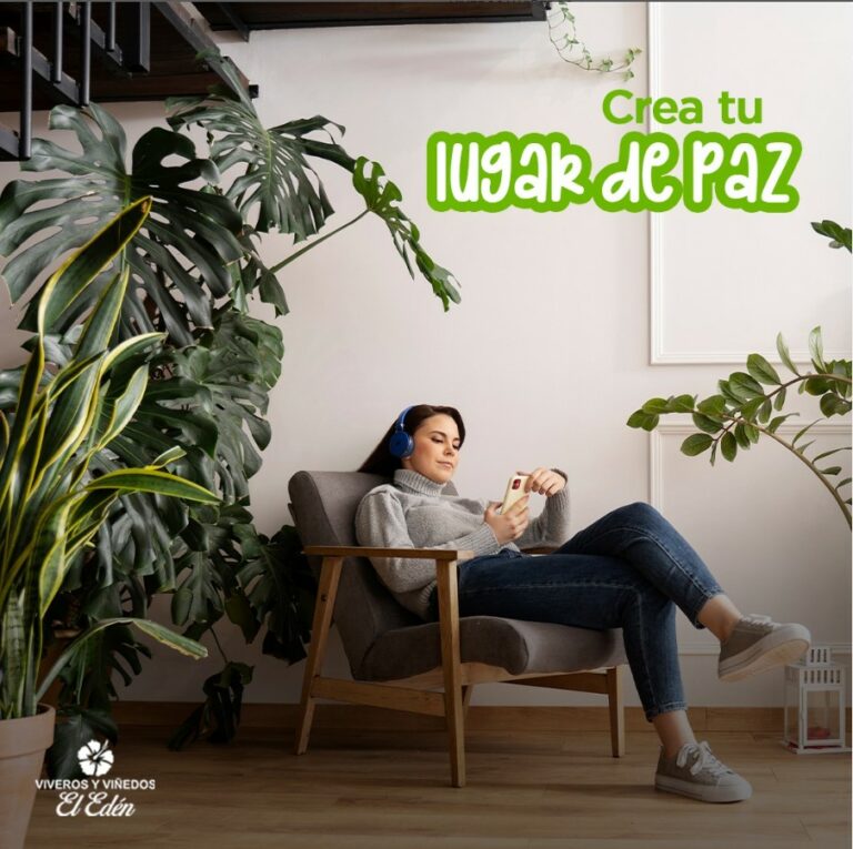 Screenshot 2024-06-11 170309