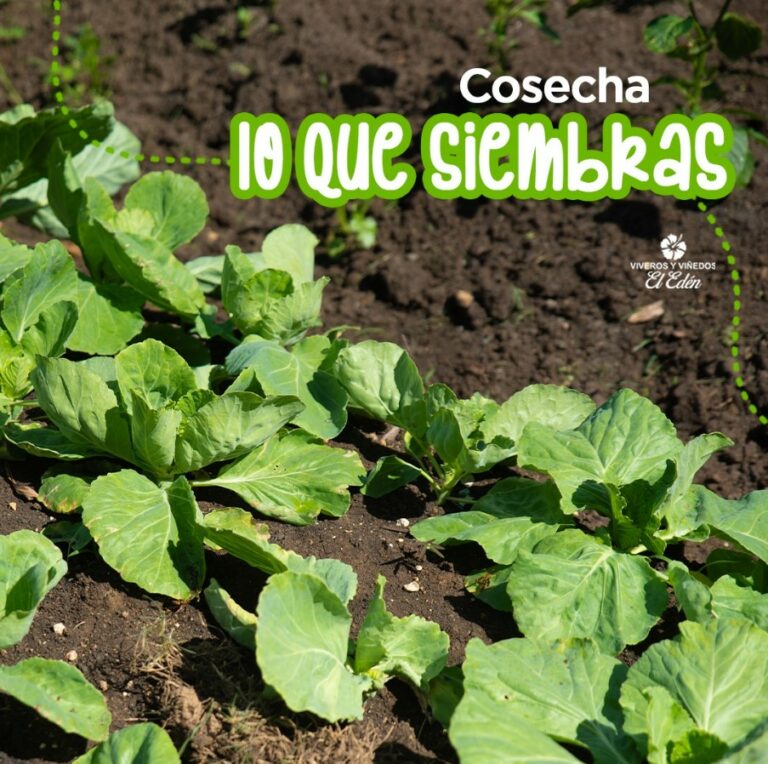 Screenshot 2024-06-11 170340